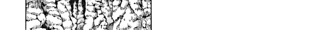Read Yakitate!! Japan chapter 82 image 9 on Lezhin