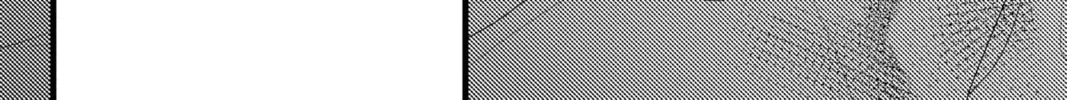 Read Yakuza Lover chapter 8 image 21 on Lezhin