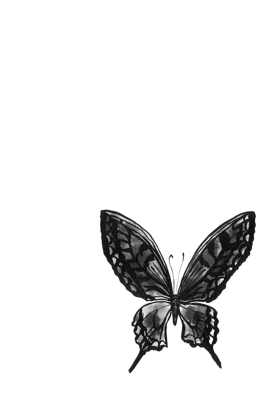 Read Yami no Aegis chapter 126 image 7 on Lezhin