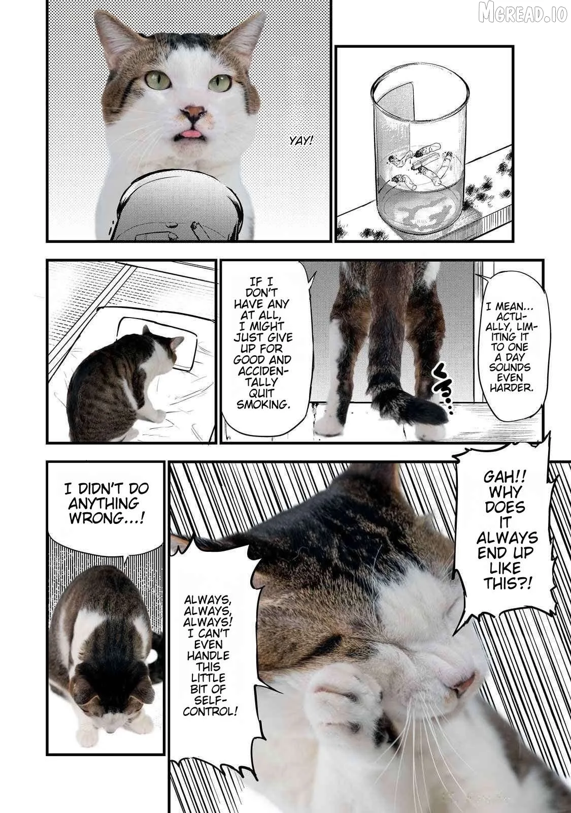 Read Yani Neko chapter 141.1 image 2 on Lezhin