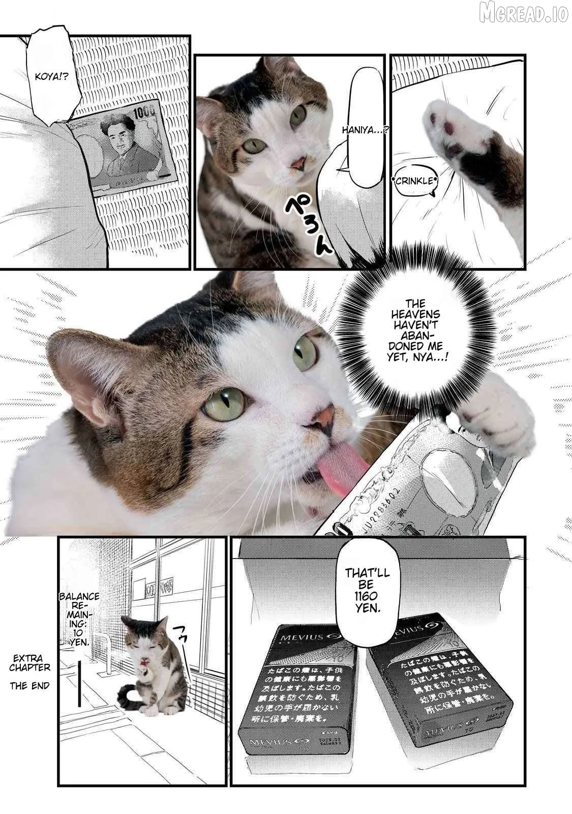 Read Yani Neko chapter 141.1 image 3 on Lezhin