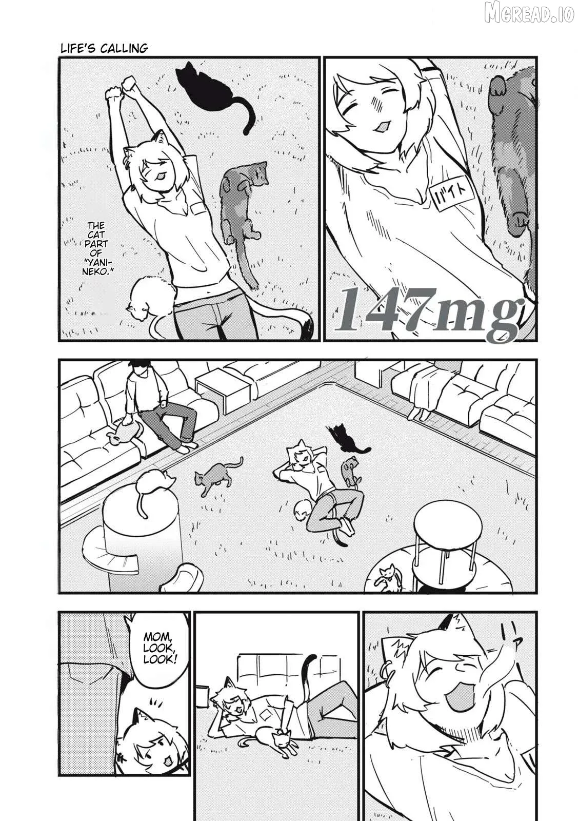 Read Yani Neko chapter 147 image 0 on Lezhin