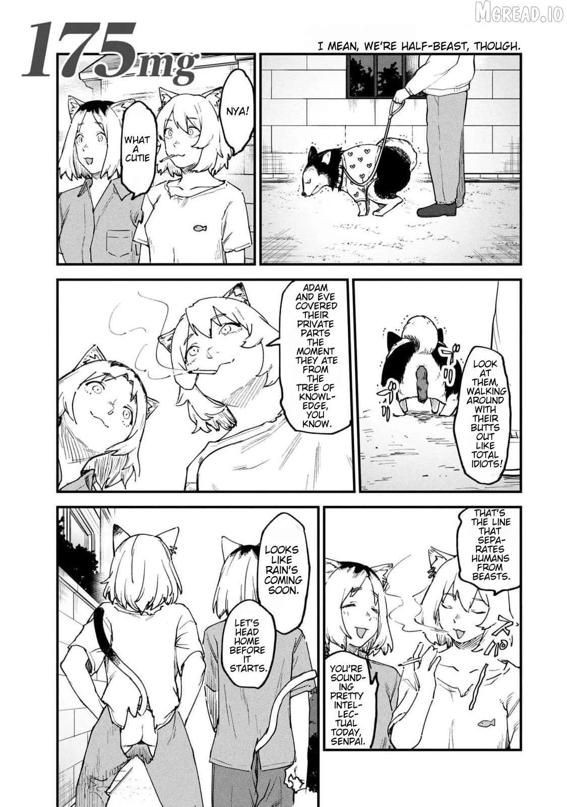 Read Yani Neko chapter 175 image 0 on Lezhin