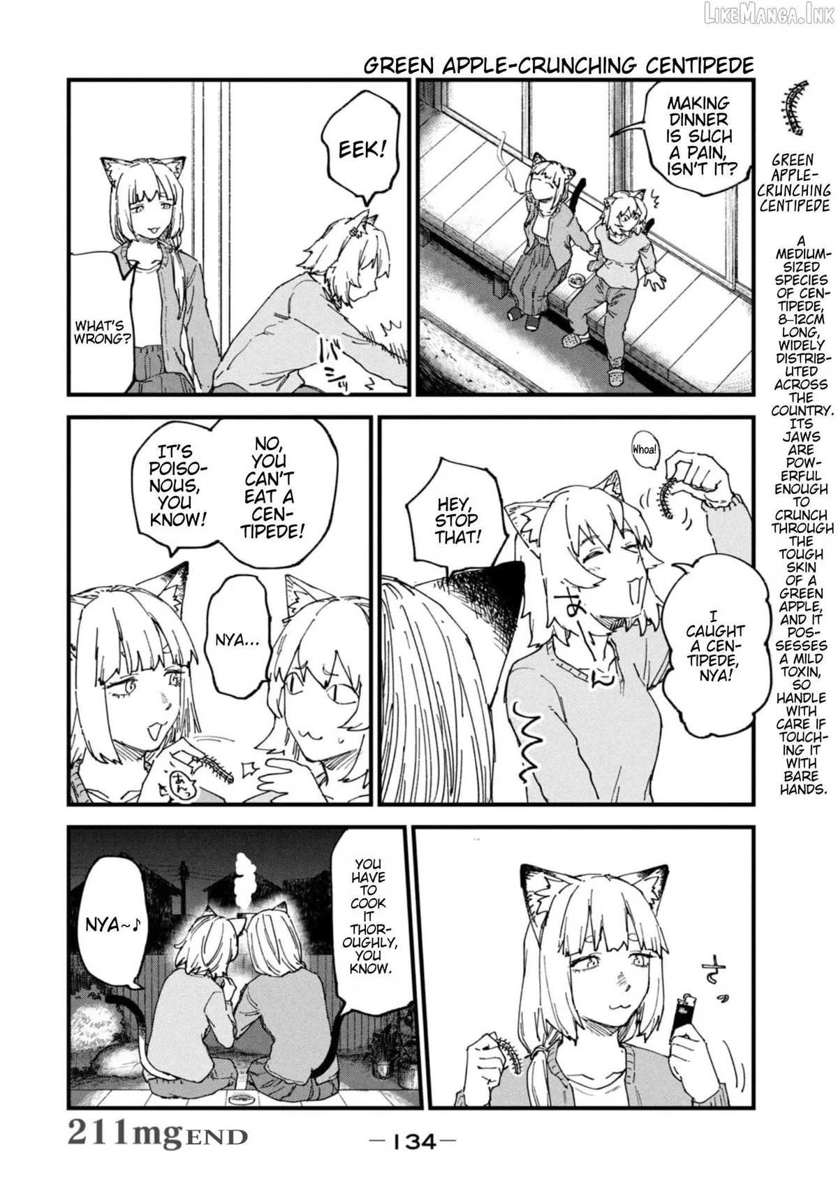 Read Yani Neko chapter 211 image 3 on Lezhin