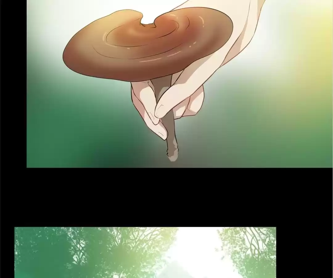 Read Yaotai Mirror chapter 33 image 7 on Lezhin