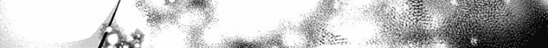 Read Yoarashi ni Warau chapter 2 image 97 on Lezhin