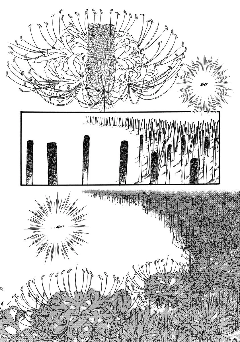 Read Yoshimi Seki Horror Collection chapter 4 image 1 on Lezhin