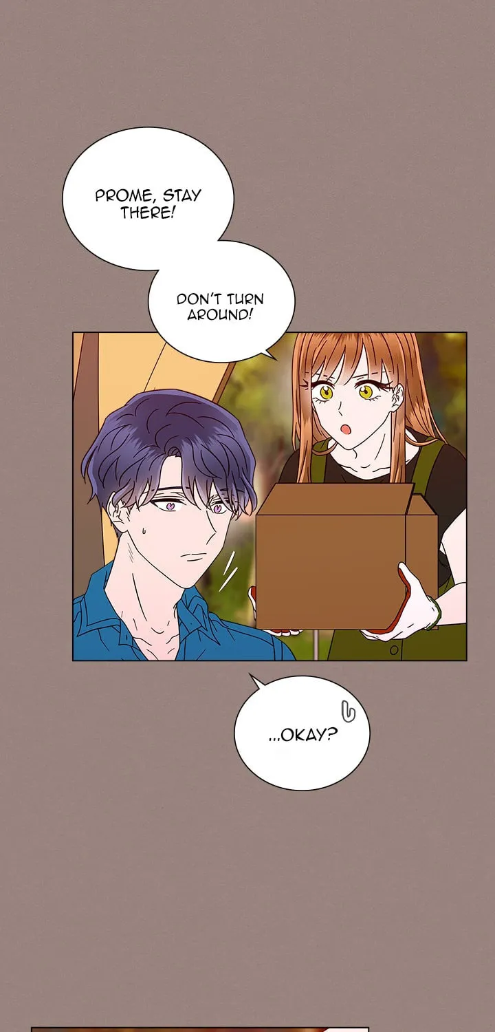 Read You Are My Destiny chapter 44 image 5 on Lezhin