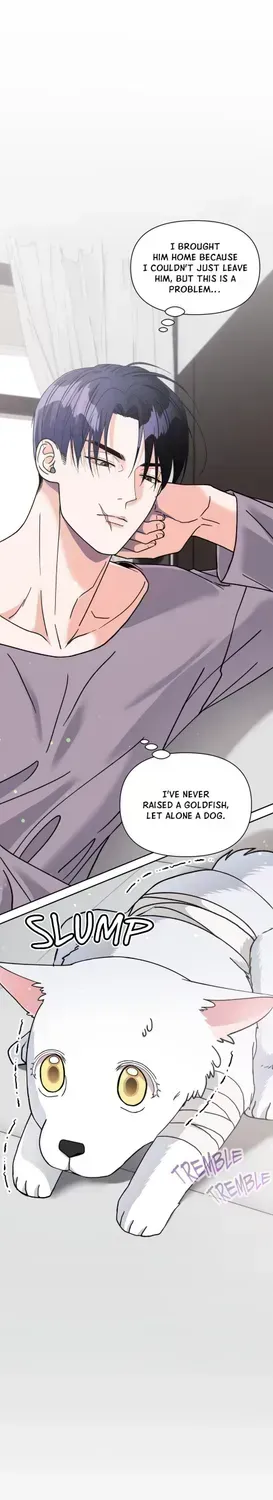 Read You Are So Lovely chapter 1.6 image 0 on Lezhin
