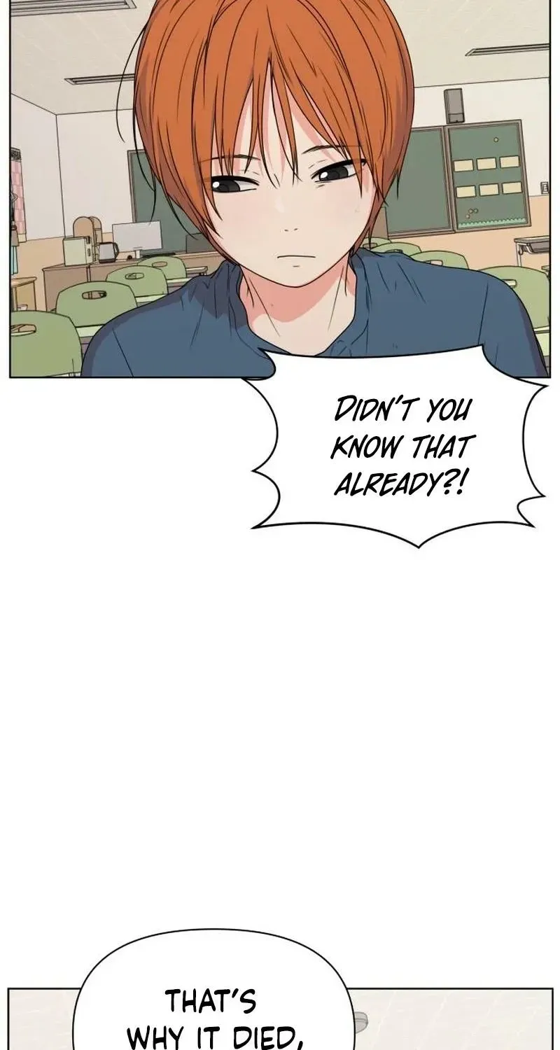 Read You or Me chapter 11 image 26 on Lezhin