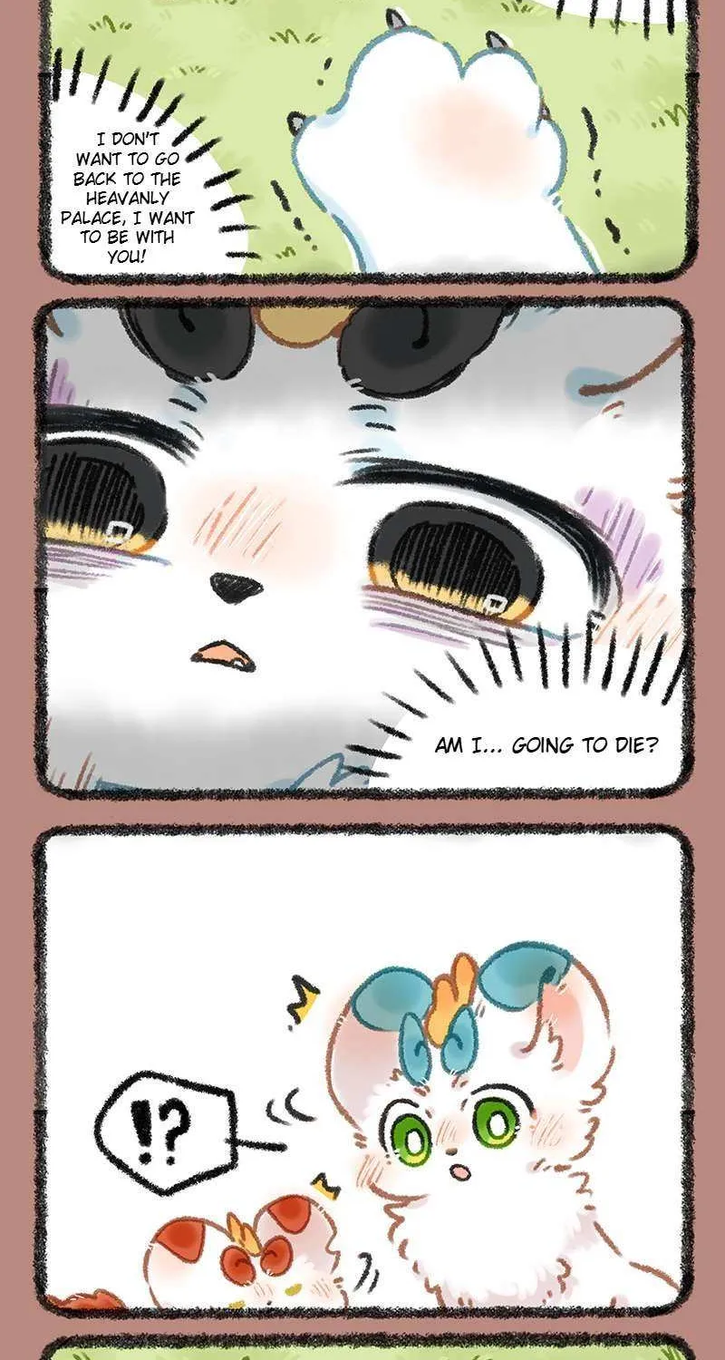 Read You Shou Yan chapter 1094 image 4 on Lezhin