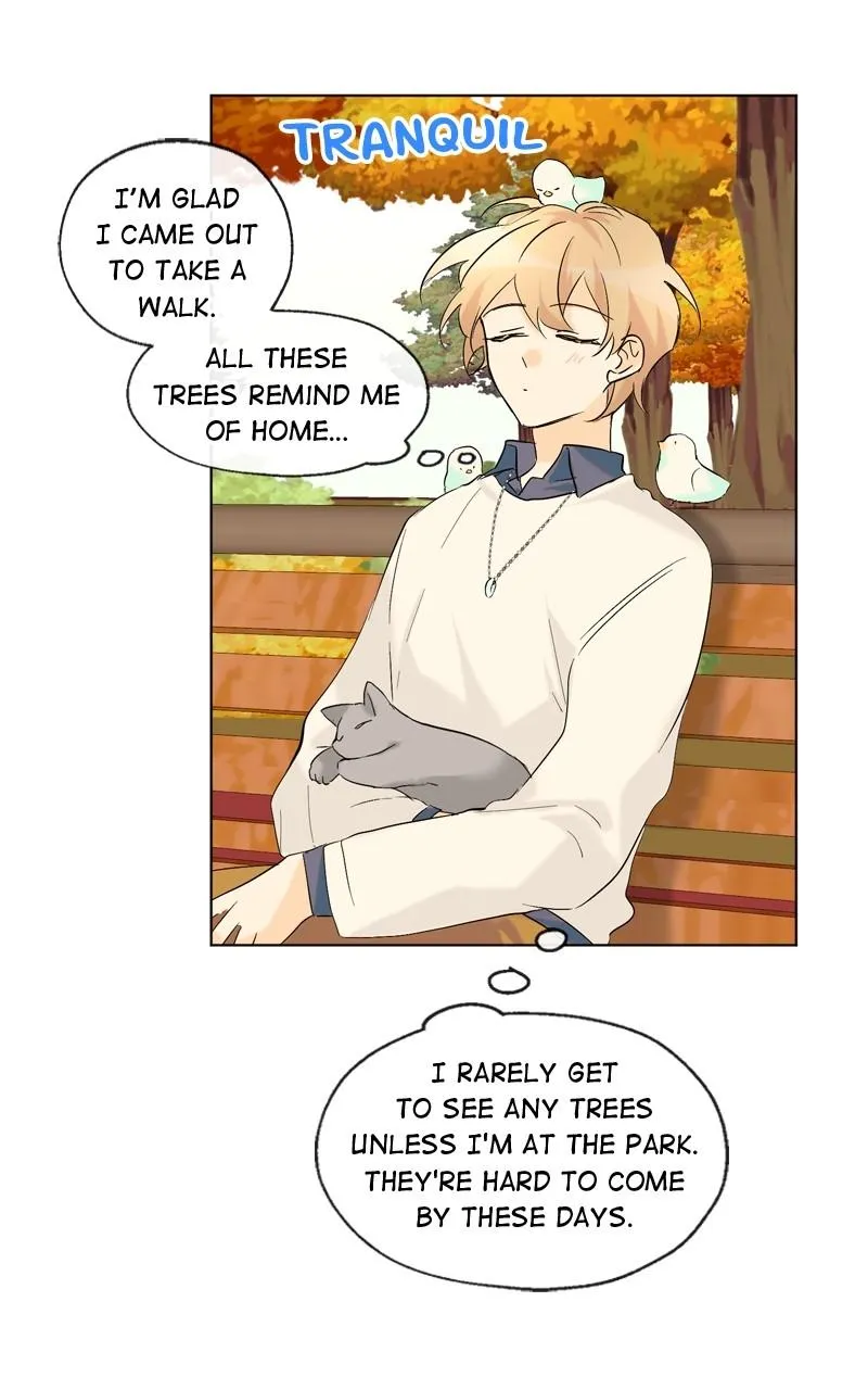 You Will Love Me Again Chapter 11 page 15 - 