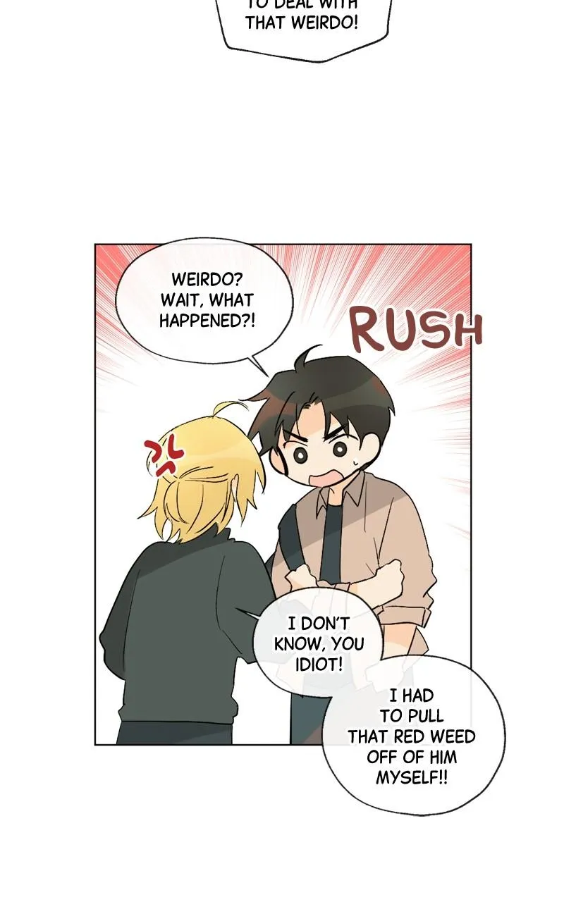 You Will Love Me Again Chapter 12 page 15 - 