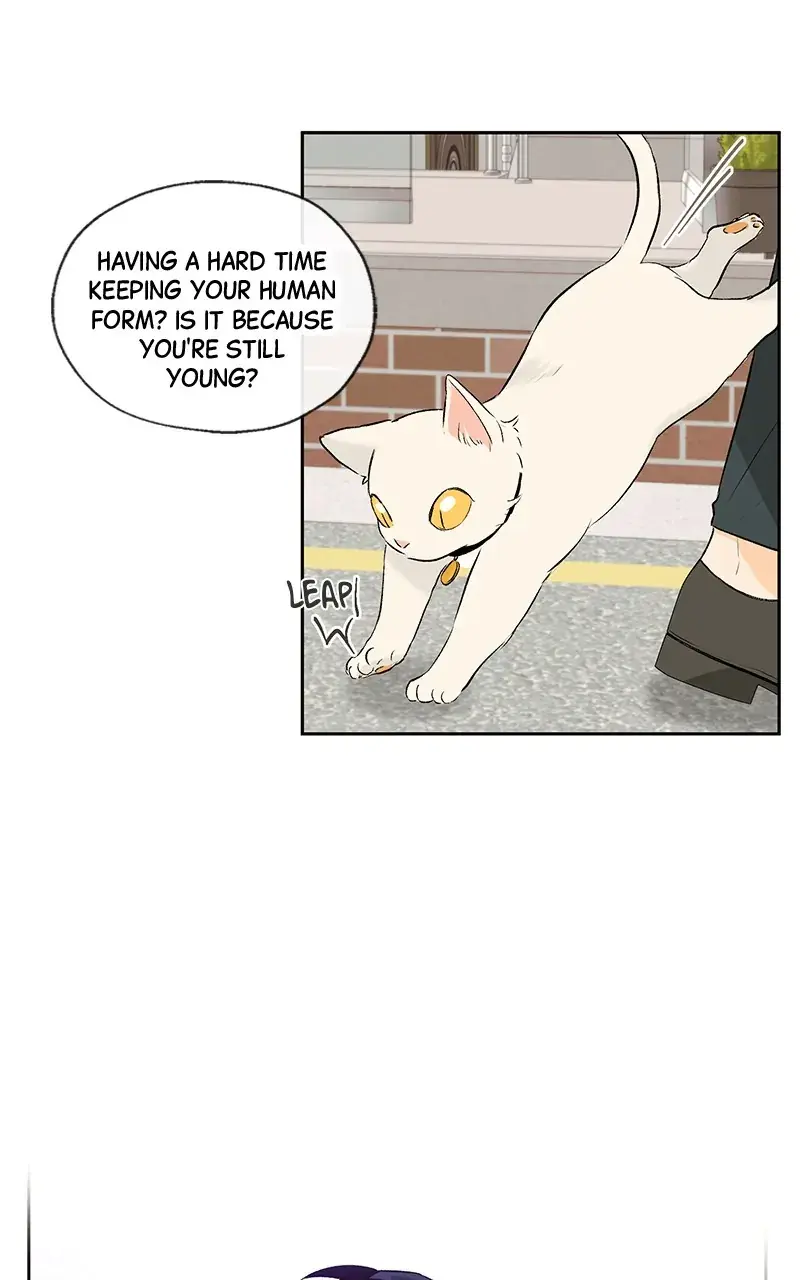 You Will Love Me Again Chapter 25 page 10 - 