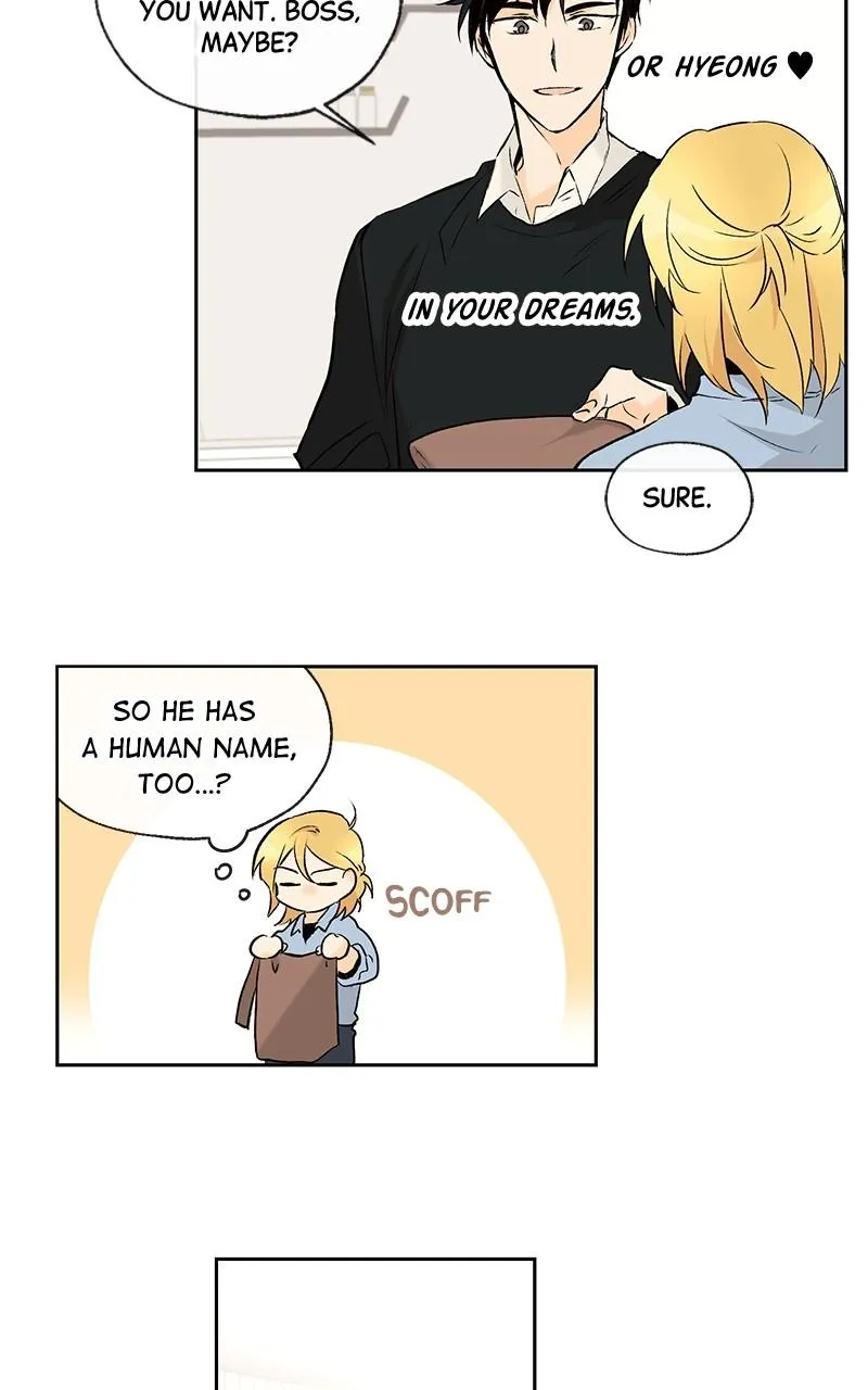 You Will Love Me Again Chapter 28 page 37 - 