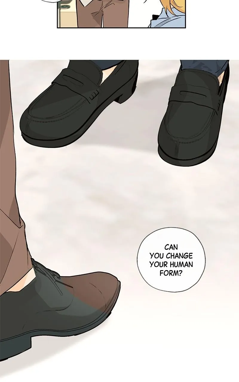 You Will Love Me Again Chapter 28 page 40 - 