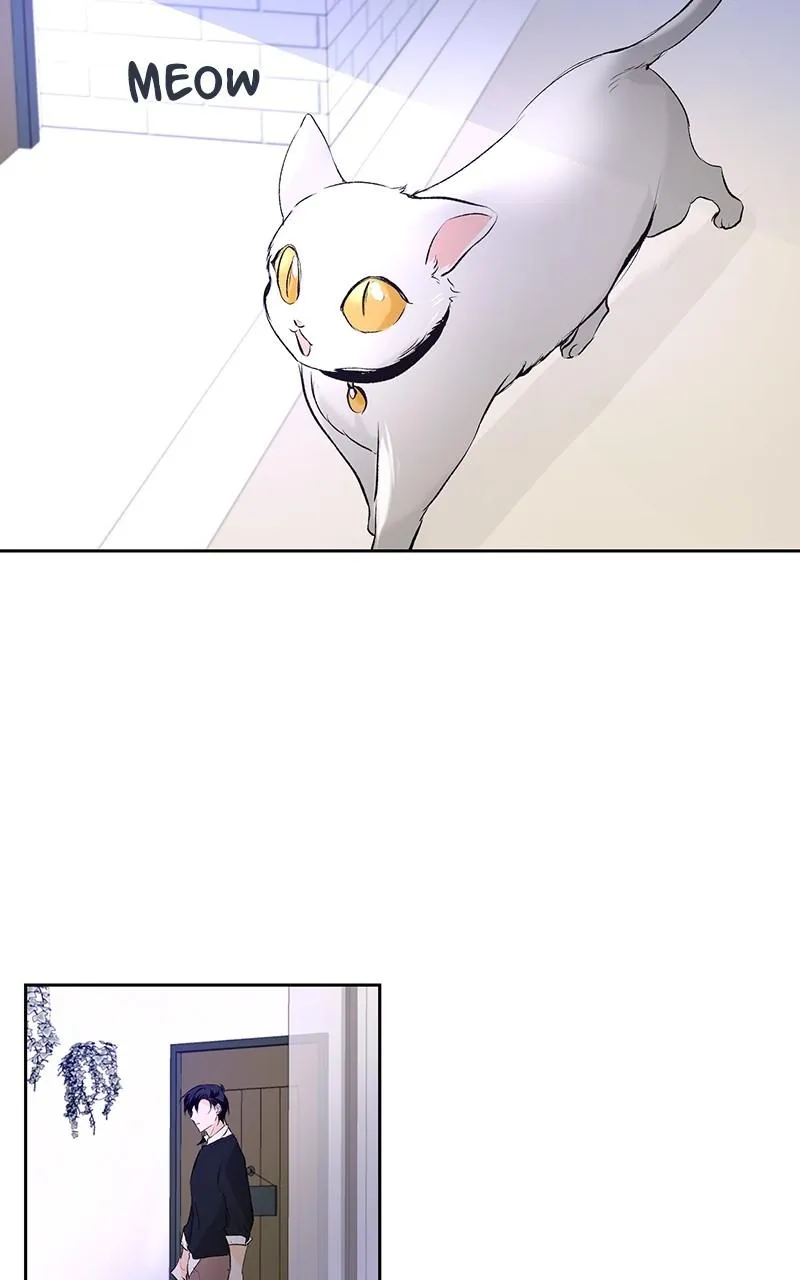 You Will Love Me Again Chapter 30 page 38 - 