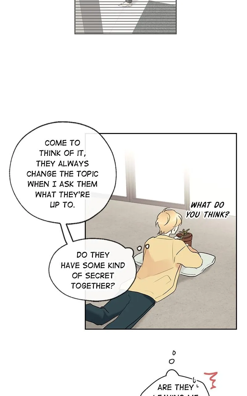 You Will Love Me Again Chapter 35 page 41 - 