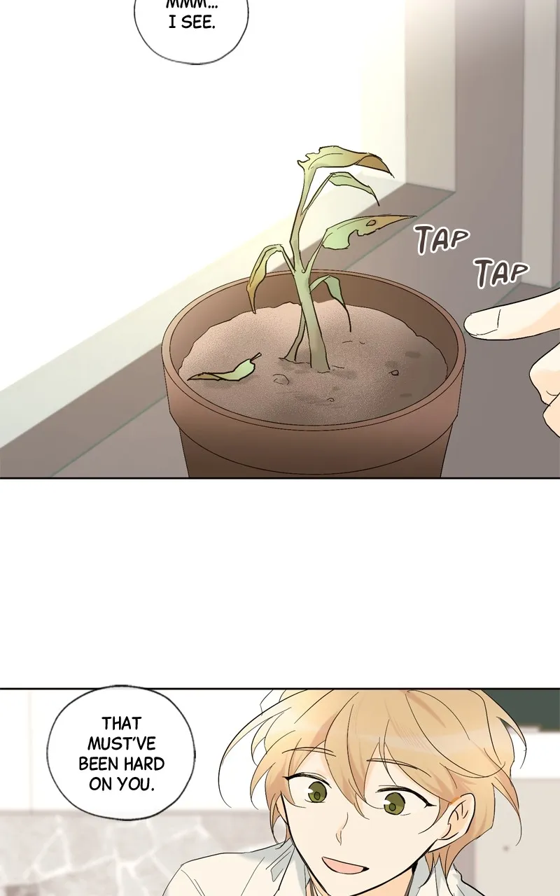 You Will Love Me Again Chapter 5 page 24 - 
