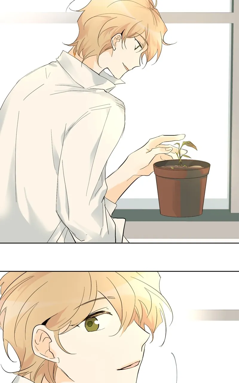 You Will Love Me Again Chapter 5 page 31 - 