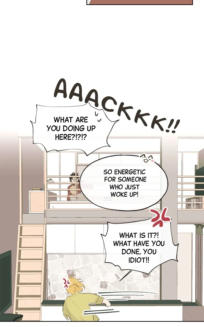 You Will Love Me Again Chapter 5 page 5 - 