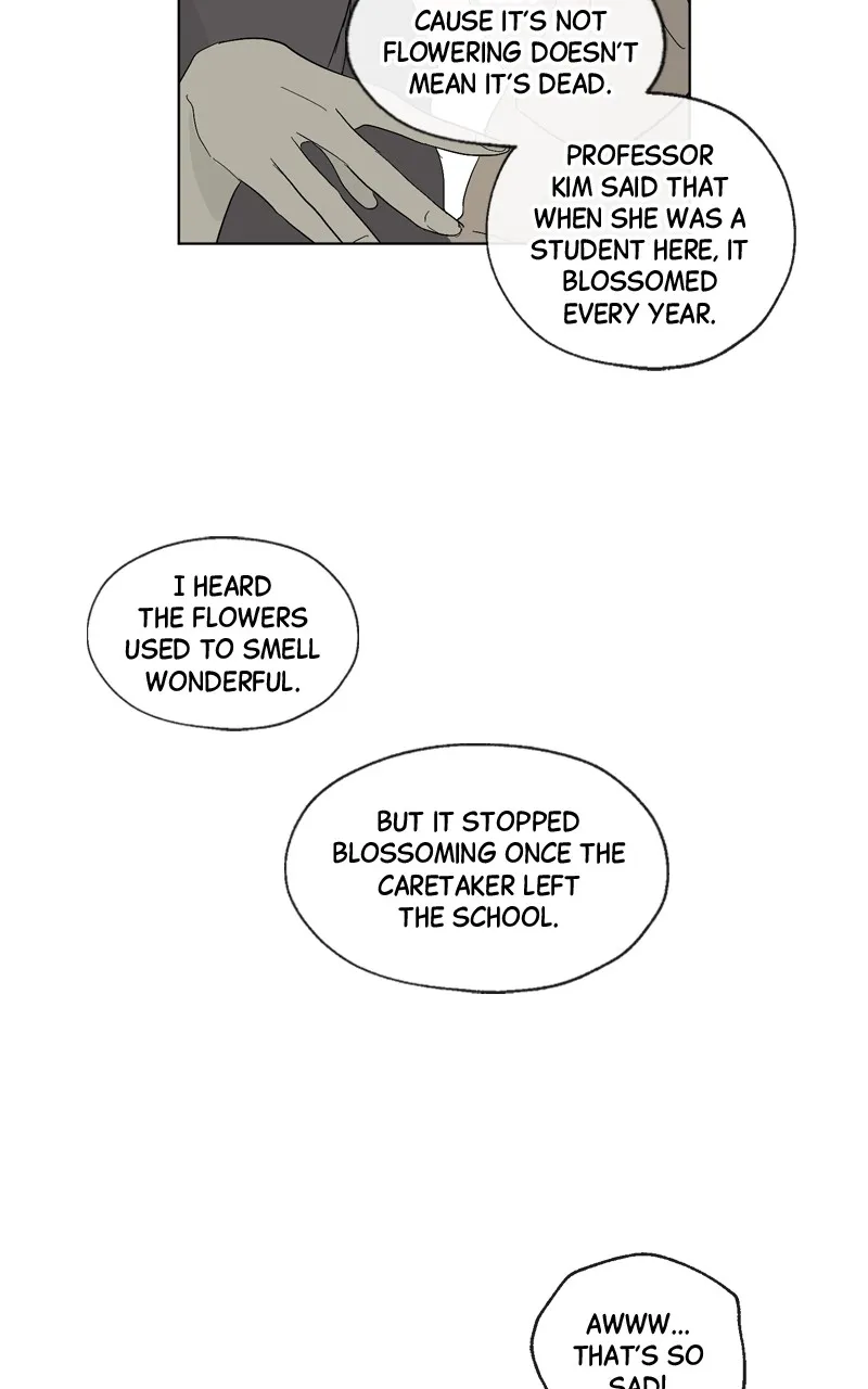 You Will Love Me Again Chapter 8 page 11 - 