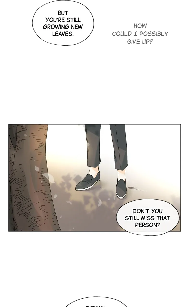 You Will Love Me Again Chapter 8 page 22 - 