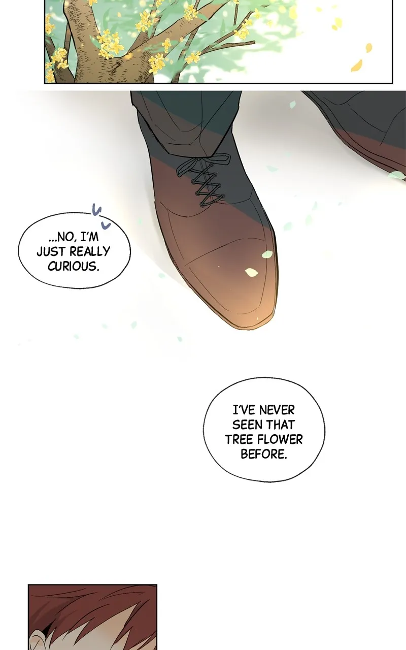 You Will Love Me Again Chapter 8 page 40 - 