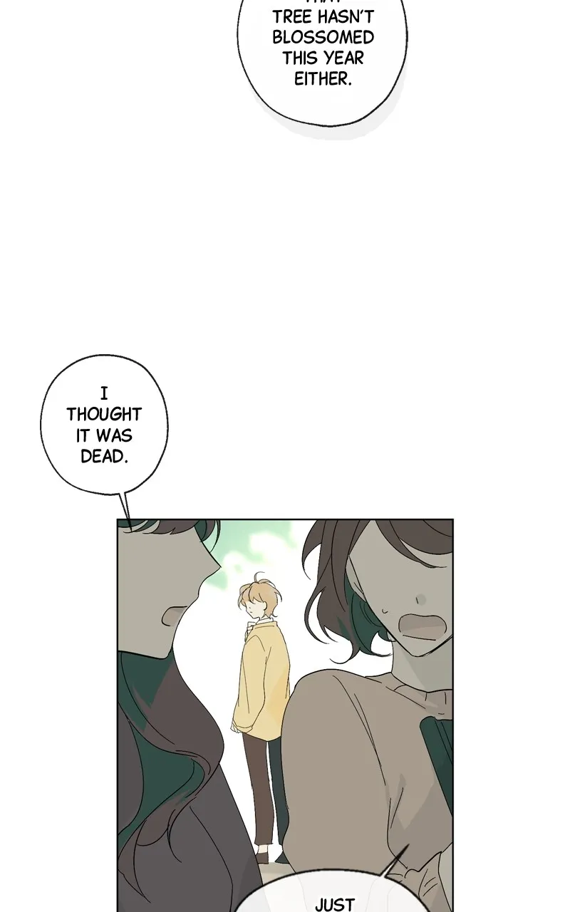 You Will Love Me Again Chapter 8 page 10 - 