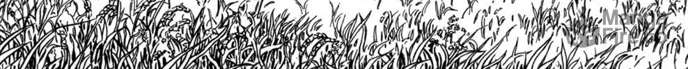 Read Youhei Pierre chapter 16 image 11 on Lezhin
