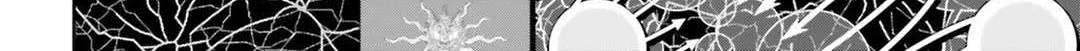 Read Youjo Senki chapter 39 image 81 on Lezhin