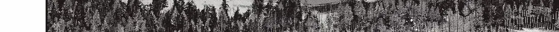 Read Youjo Senki chapter 90 image 78 on Lezhin