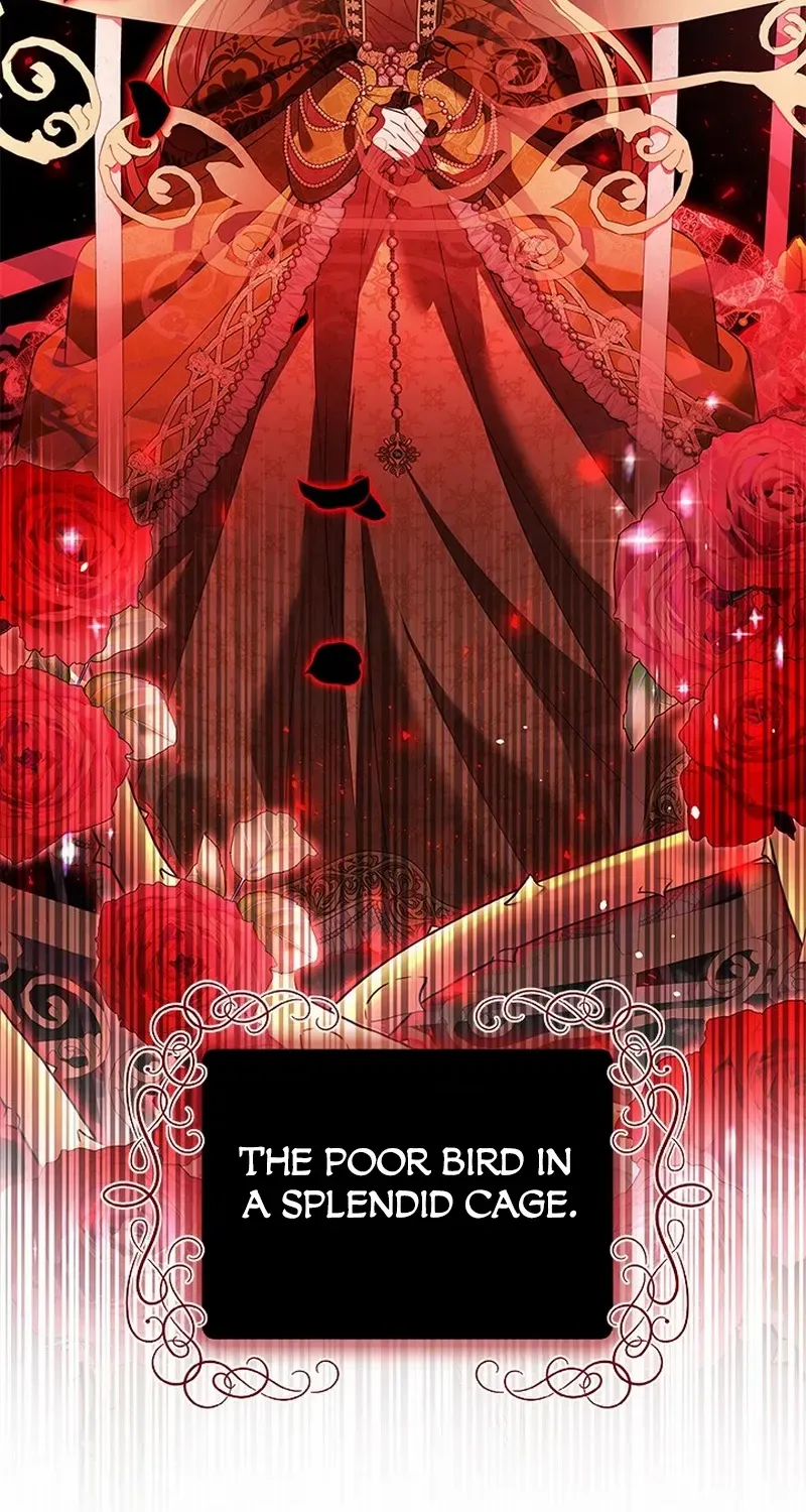 Your God Sent You Chapter 27 page 71 - 