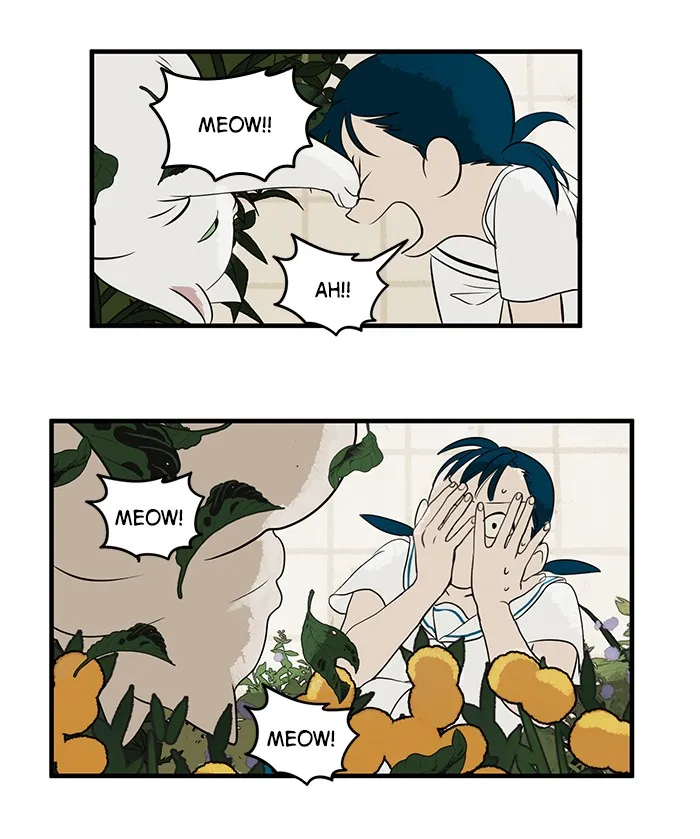 Read Your Letter chapter 2 image 43 on Lezhin