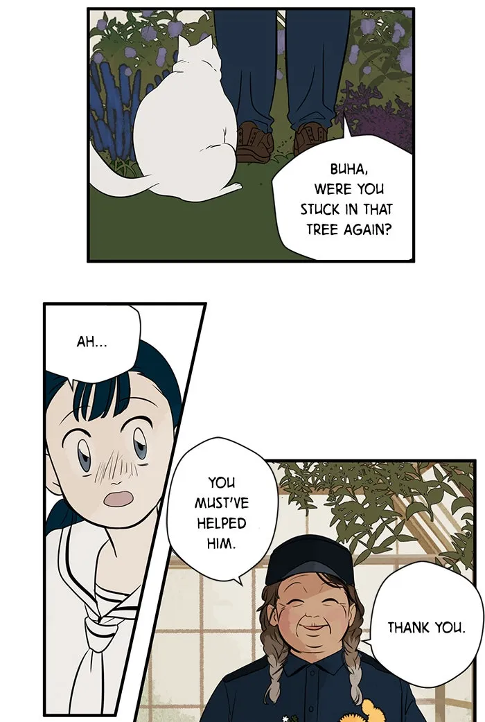 Read Your Letter chapter 2 image 47 on Lezhin