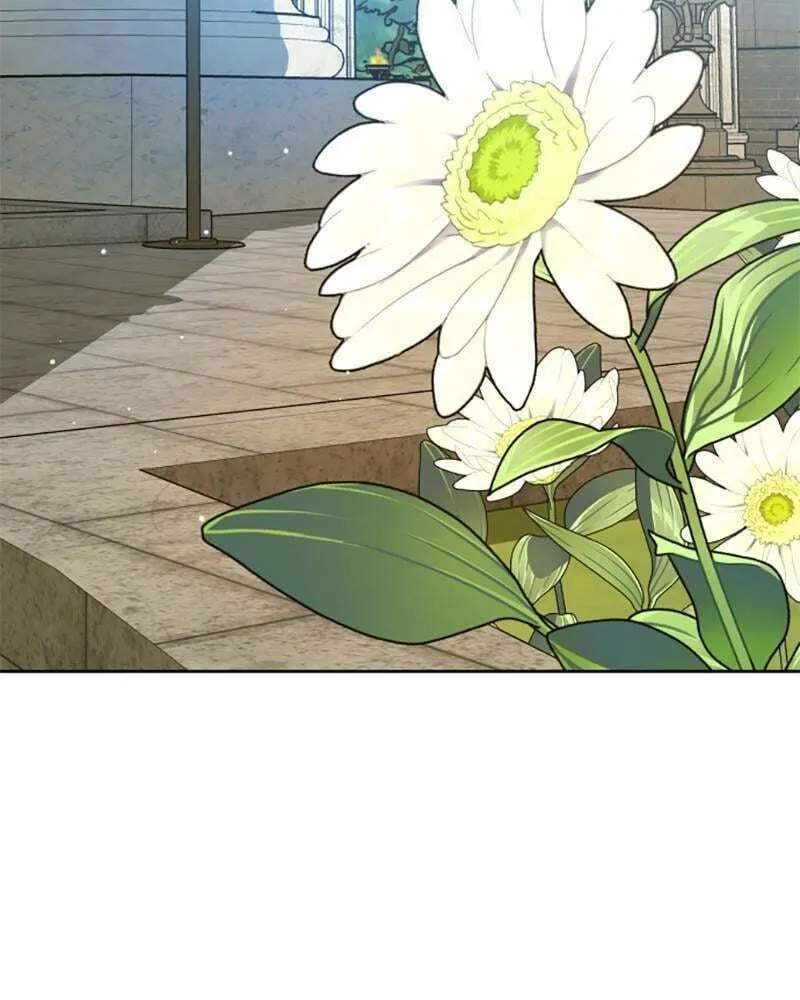 Read Your Throne chapter 151 image 75 on Lezhin