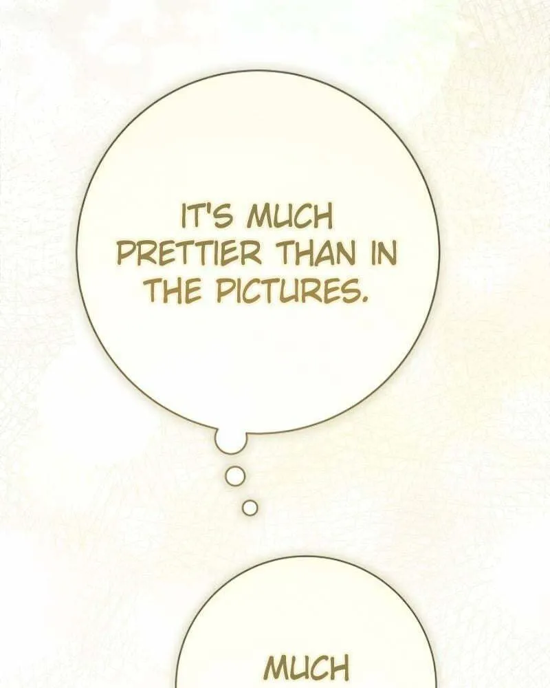 Read Your Throne chapter 205 image 216 on Lezhin