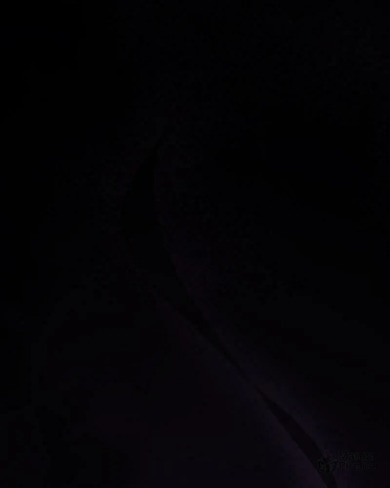 Read Your Throne chapter 226 image 23 on Lezhin