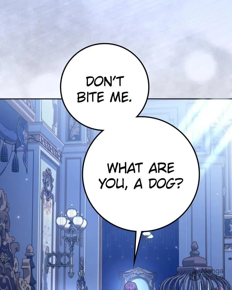 Read Your Throne chapter 228 image 41 on Lezhin
