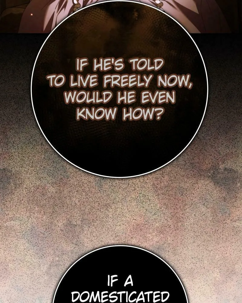 Read Your Throne chapter 232 image 7 on Lezhin