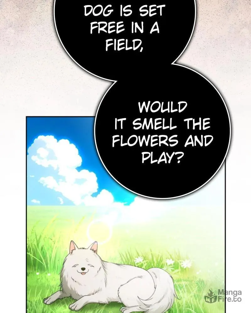 Read Your Throne chapter 232 image 8 on Lezhin