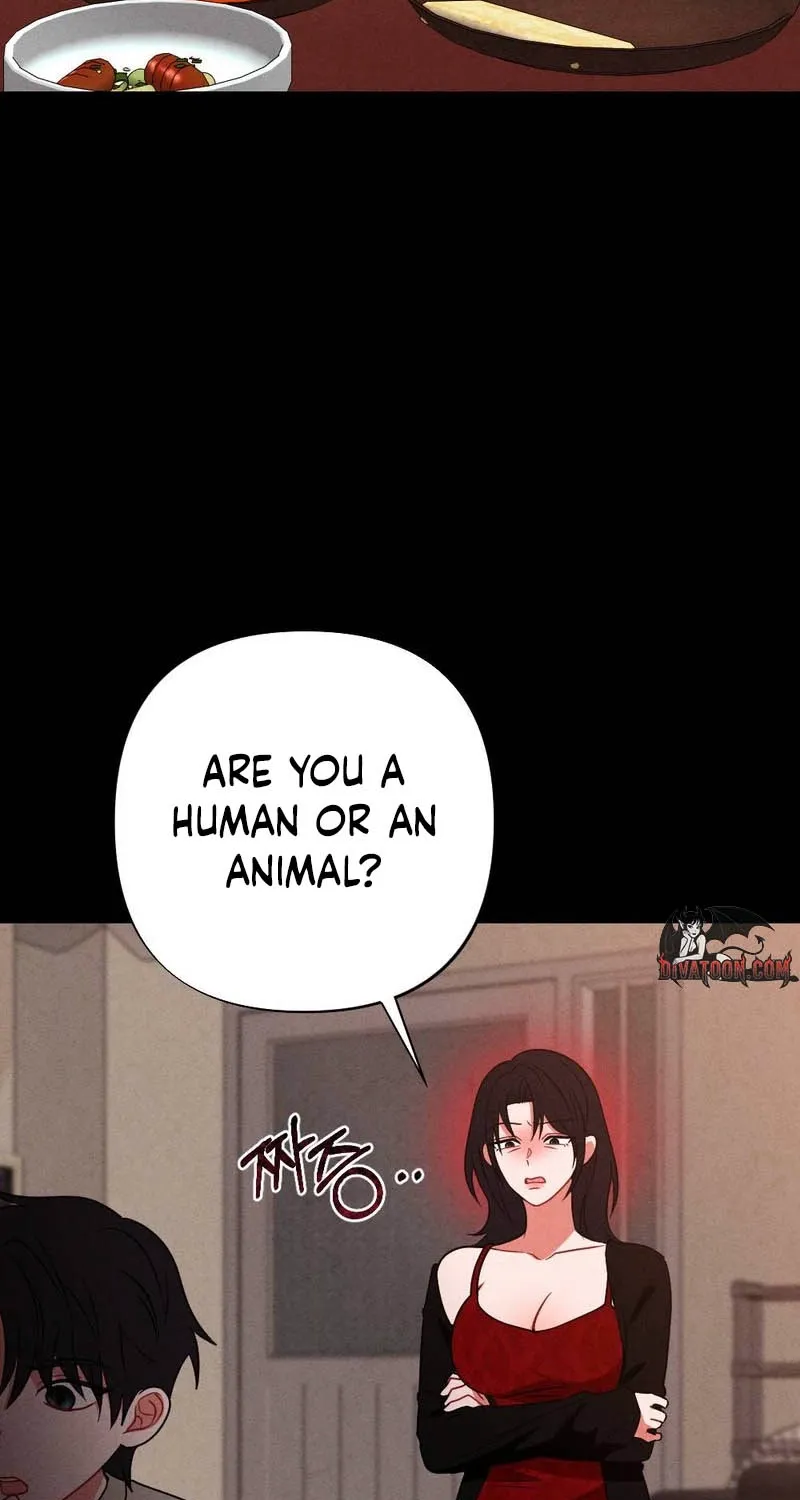 Read Your Wife chapter 22 image 67 on Lezhin