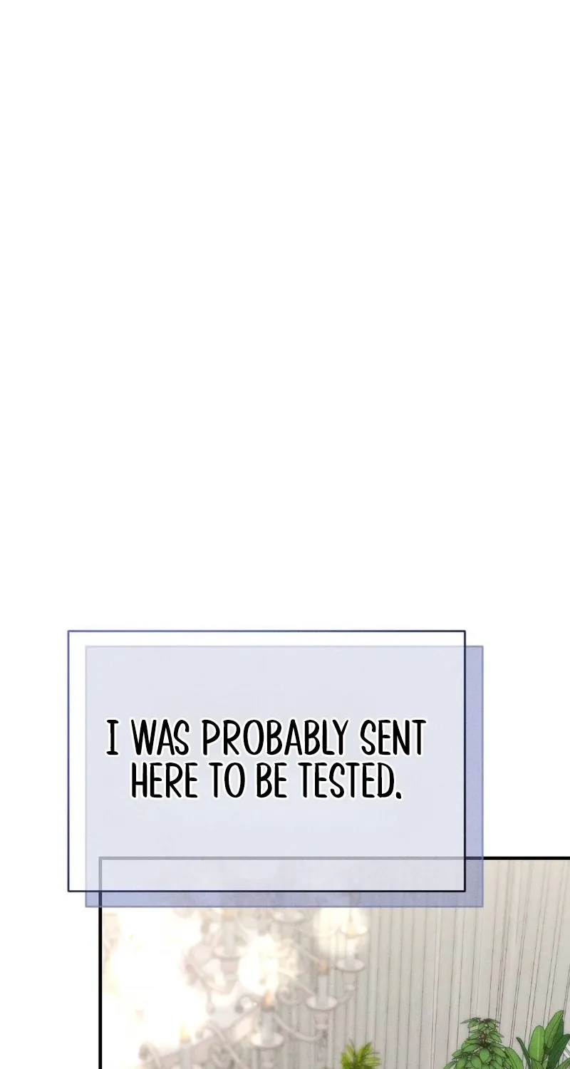 Read Your Wife chapter 27 image 85 on Lezhin