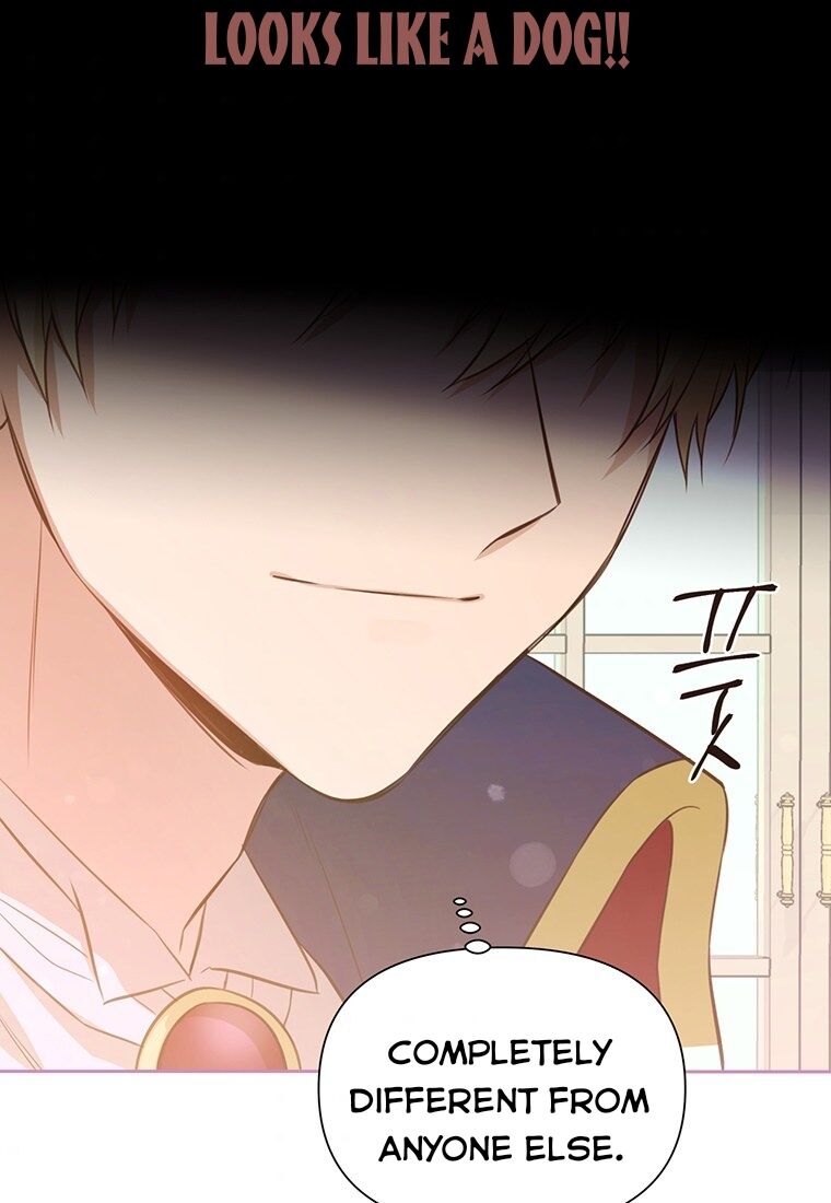 You’re a Supporting Character, Just Love Me Chapter 5 page 64 - 
