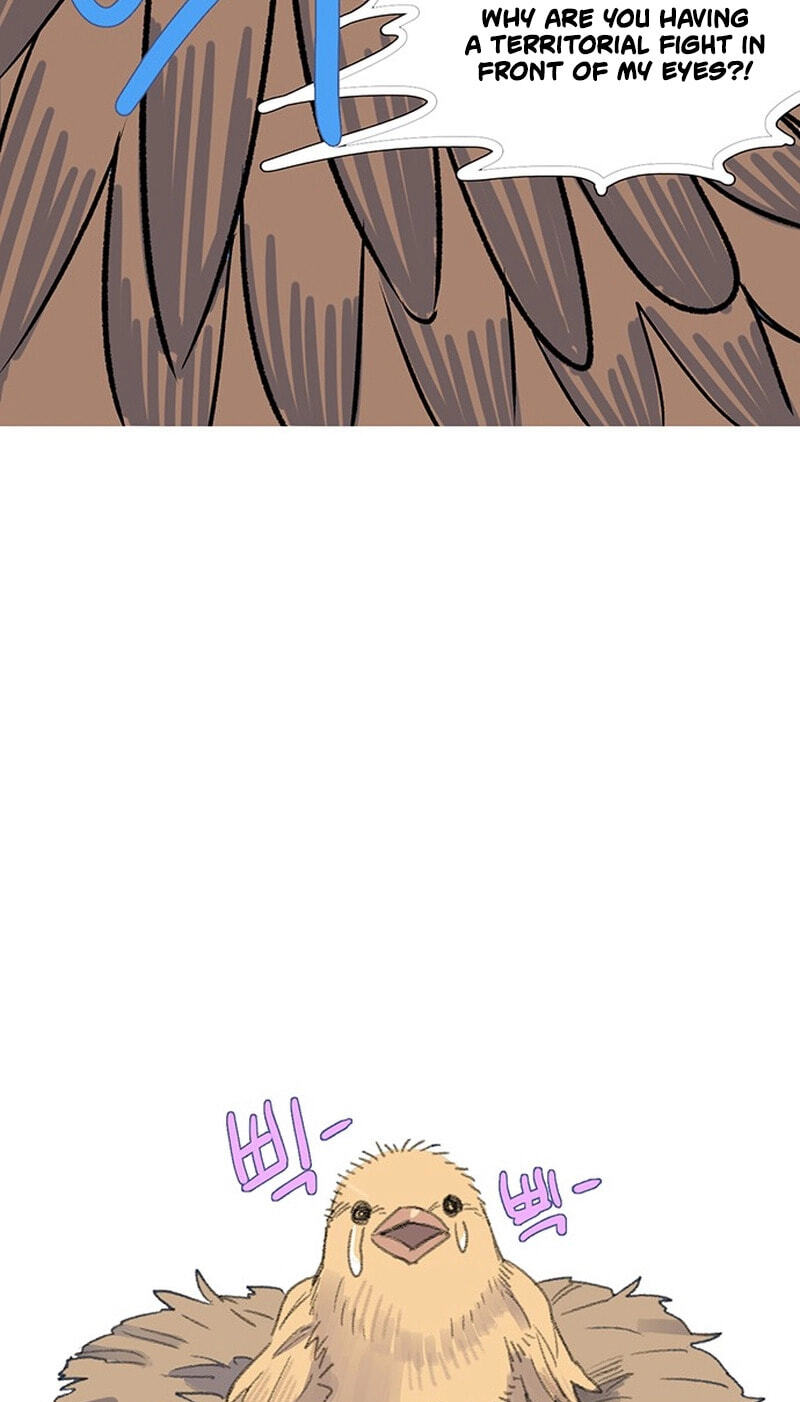 Youth Observation Chapter 1 page 140 - 