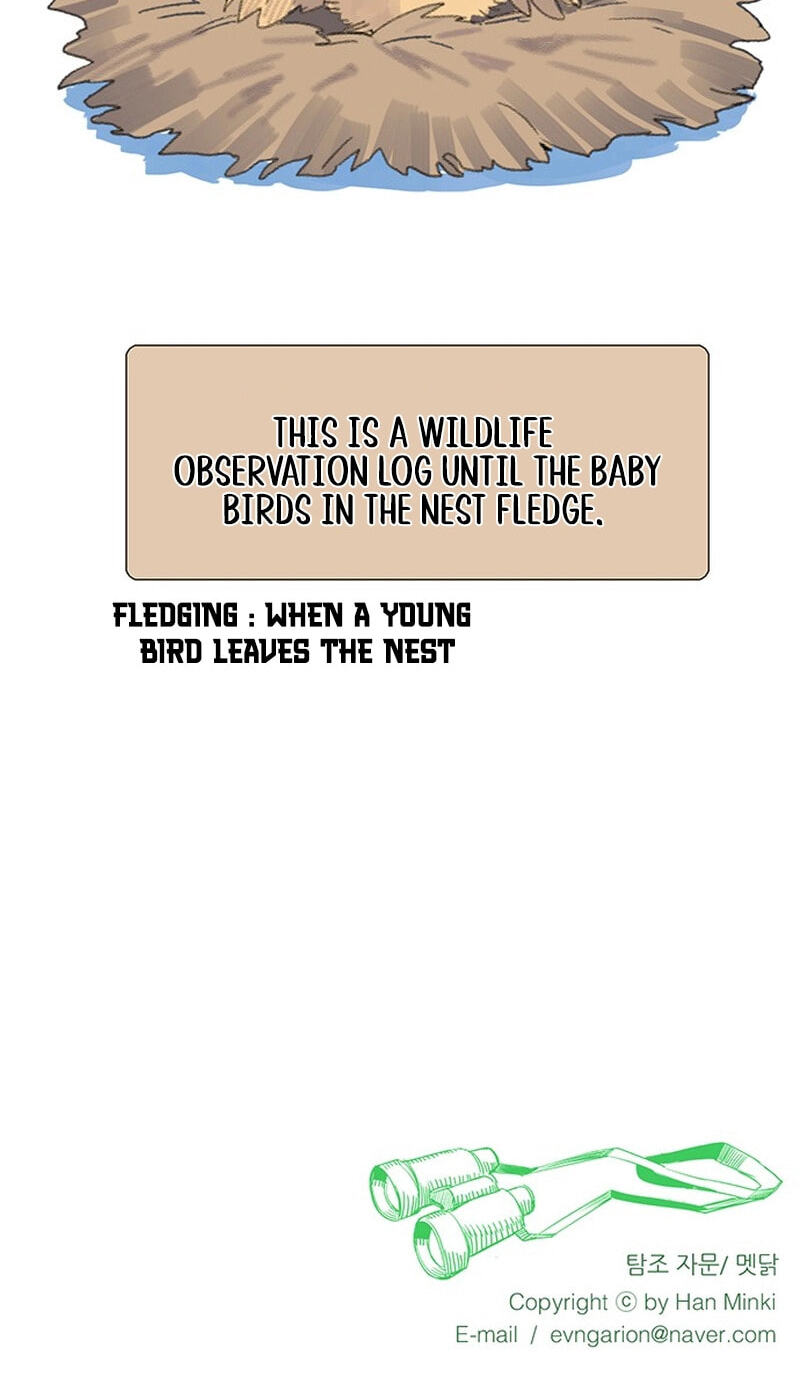 Youth Observation Chapter 1 page 141 - 