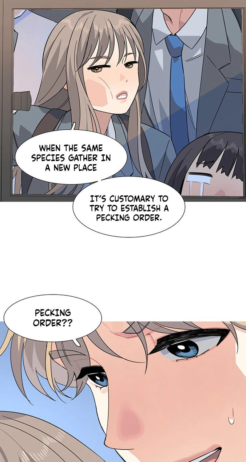 Youth Observation Chapter 1 page 46 - 