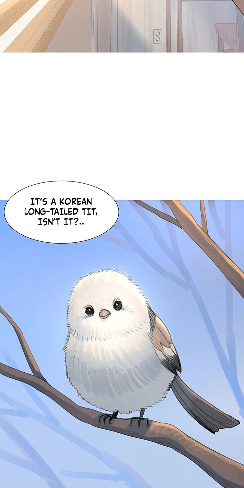 Youth Observation Chapter 1 page 8 - 