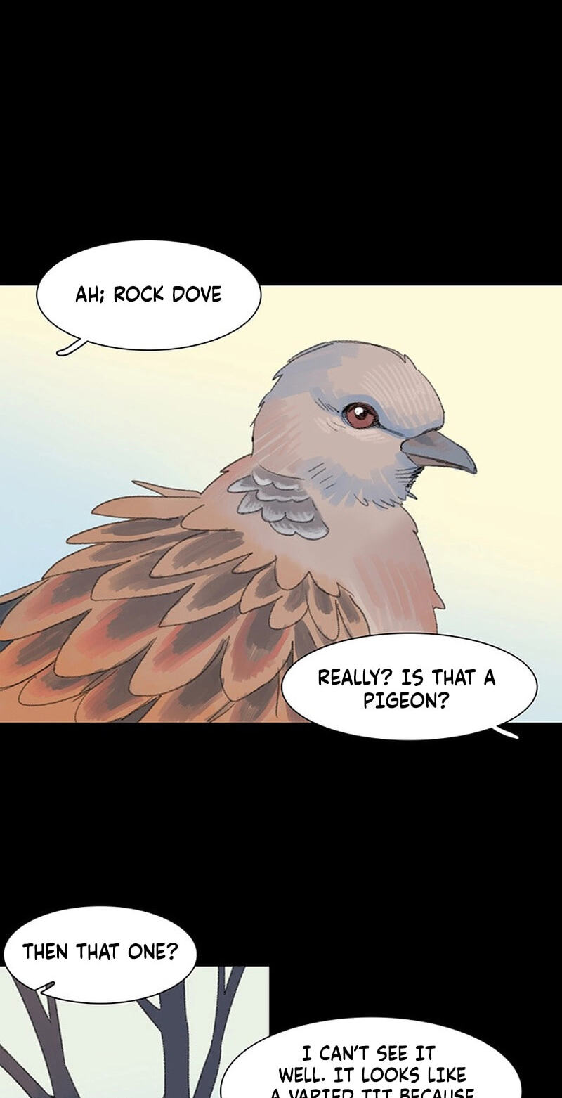 Youth Observation Chapter 1 page 71 - 
