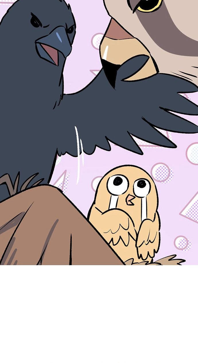 Youth Observation Chapter 2 page 15 - 